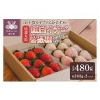 いちご 2026-2027発送分 紅白イチゴ2品種食べ比べセット