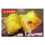 野菜類 サツマイモ 12ヶ月定期便 訳あり
