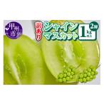ふるさと納税 ぶどう マスカット 山梨県 甲州市  訳あり シャインマスカット2房1kg以上 2026年発送 （AGB）A09-875 シャインマスカット 葡萄 ぶどう ブドウ 令…