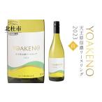 ワイン 白ワイン YOAKENO天王原信濃リースリング2023