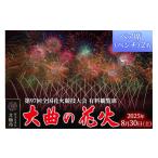 ふるさと納税 花火大会チケット 秋田県 大仙市 第97回全国花火競技大会「大曲の花火」 有料観覧席/ペア席(ベンチ)2名