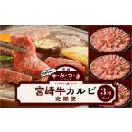 牛肉 焼肉 バーベキュー やみつきシリーズ宮崎牛カルビ定期…