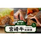 牛肉 サーロイン 食べ比べシリーズ宮崎牛バラエティ定期便