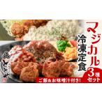 惣菜 レトルト 冷凍 マジカル冷凍定食 3種セット