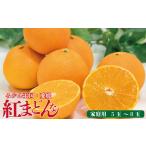 ふるさと納税 みかん・柑橘類 愛媛県 松山市  先行予約 2025年11月下旬以降順次発送 数量限定 紅まどんな 家庭用 オリジナル箱 〇等級 5玉?8玉 ベニマドンナ …