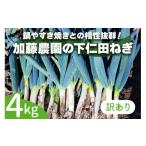 fu.... налог овощи вид лук порей Gunma префектура . приятный блок ограниченное количество есть перевод прямая поставка от производителя Kato сельское хозяйство .. внизу . рисовое поле лук порей 4kg ( маленький .) 2025 год 11 месяц последняя декада .. последовательный отправка l предшествующий предварительный заказ товар с некоторыми замечаниями зимний...