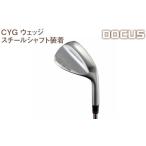 ゴルフグッズ クラブ シャフトフレックス:R