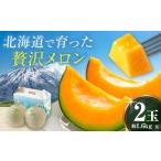 ショッピングメロン ふるさと納税 北海道 喜茂別町 【2024年夏発送！絶品!!甘みたっぷり】ようてい赤肉メロン　約1.6kg×2玉