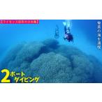 体験チケット 奄美の海を満喫 2ボートダイビング