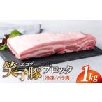 豚肉 バラ ブロック 真空パック 冷凍 1kg