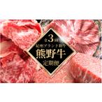 牛肉 ステーキ 3回定期便 毎月お届け 高級和牛