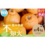 不知火 デコポン同一品種 約4kg