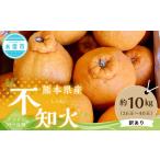 ふるさと納税 みかん・柑橘類 熊本県 水俣市  訳アリ 熊本県産 不知火 （デコポン同一品種） 約10kg （26玉〜40玉） 2026年1月下旬-〜2月下旬発送予定