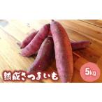 ふるさと納税 野菜類 サツマイモ 兵庫県 小野市 訳あり 熟成 さつまいも 5kgセット 不揃い 野菜