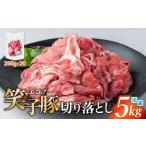 豚肉 炒め物 切り落とし 小分け 5kg