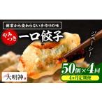 惣菜 レトルト 冷凍 4回定期便 一口餃子 50