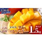 ショッピングふるさと納税 先行予約 ふるさと納税 マンゴー 沖縄県 石垣市  先行予約 石垣島産 マンゴー (アーウィン種) 約1.5kg (2〜5玉) 家庭用 2026年6月順次発送 | 産地直送 家庭用 訳あり 沖…
