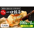 惣菜 レトルト 冷凍 4回定期便 一口餃子 100