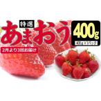 ふるさと納税 いちご 福岡県 朝倉市 定期便 3ヶ月 いちご あまおう 400g 特選 あまおう 2026年2月より発送 イチゴ 苺 フルーツ 果物 デザート 3回 お楽しみ 配…