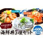 魚貝類 紀州湯浅醤油を使った サーモン と
