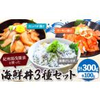 魚貝類 紀州湯浅醤油を使った サーモン と