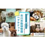 fu.... налог входной билет * пригласительный билет Chiba префектура Ichikawa город Ichikawa город перемещение растения . пара билет 12203-0195