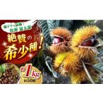 fu.... налог фрукты вид каштан Kochi префектура Kochi город предшествующий предварительный заказ ........ сделал сон сладкие каштаны высококлассный сырой каштан превосходящий товар стандарт примерно 1kg ( примерно 50 шт передний и задний (до и после) ) 2026 год 10 месяц средний .~ отправка каштан .. сезон осень...