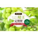 ぶどう マスカット 発送月固定定期便 シャインマスカット