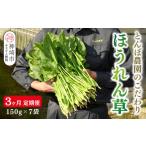 人参 大根 他根菜 定期便3回 ほうれん草 約1kg