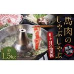 馬肉 6か月定期便 熊本産 馬肉のしゃぶしゃぶ 約1.5kg