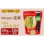 玄米 定期便全12回 栄養機能食品 白米と同じように炊けるや…