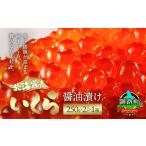 ふるさと納税 いくら 北海道 釧路町 北海道産 いくら醤油漬け 500g(250g ×2パック) 発送時期が選べる 国産 いくら醤油漬 しょう油 しょうゆ イクラ ikura …