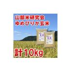玄米 毎月定期便 特A受賞米 産ゆめぴりか