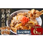 牛肉 定期便4回 牛丼の具 150g×10パック