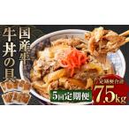 牛肉 定期便5回 牛丼の具 150g×10パック