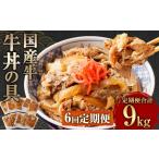 牛肉 定期便6回 牛丼の具 150g×10パック