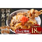 牛肉 定期便12回 牛丼の具 150g×10パック