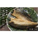 漬魚 味噌 粕等 さばのへしこ 半身2枚 鯖 サバ
