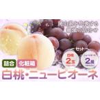 もも 桃 ピオーネ フルーツセット 2027年