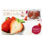 ふるさと納税 いちご 栃木県 益子町  2026年1月発送開始 先行予約 数量限定 完熟とちあいか　約600g 栃木県共通返礼品／真岡市産 ｜栃木県 ふるさと納税 いち…
