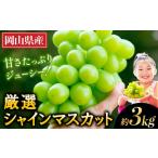 ふるさと納税 ぶどう マスカット 岡山県 矢掛町 シャインマスカット 2025年出荷先行予約 厳選 シャインマスカット 約3kg 《2025年9月上旬〜11月中旬頃に出荷予…