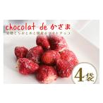 菓子 チョコレート Chocolat de
