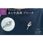 アクセサリー ブローチ 甲府ジュエリー 〉シルバー