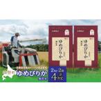 ふるさと納税 米 ゆめ