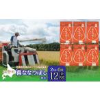 米 令和7年産 精米12kg ホクレン喜ななつぼし 2kg×6袋