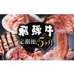 牛肉 ロース 固定月にお届け 飛騨牛 5回定期便