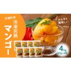 徳之島 冷凍 完熟 マンゴー 4kg