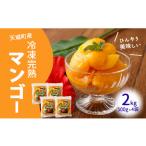 徳之島 冷凍 完熟 マンゴー 2kg