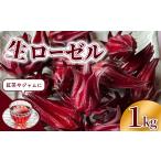 果物類 先行受付 生ローゼル 約1キロ
