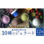 アイス ヨーグルト ジェラート アイスクリーム 12個
